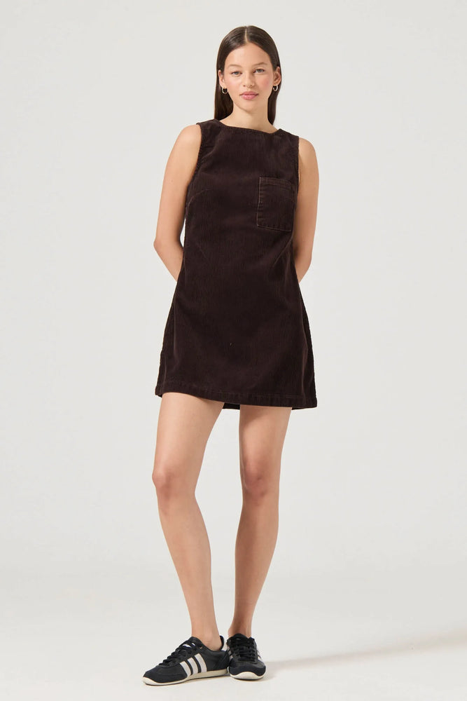 
                  
                    Load image into Gallery viewer, Caroline Chocolate Corduroy Shift Dress
                  
                